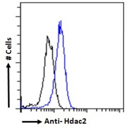 Invitrogen HDAC2 Polyclonal Antibody 100 &mu;g | Buy Online | Invitrogen&trade; | Fisher Scientific