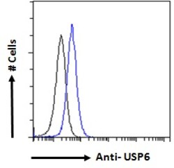 Invitrogen USP6 Polyclonal Antibody 100 &mu;g; Unconjugated:Antibodies,