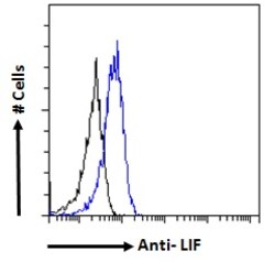 Invitrogen LIF Polyclonal Antibody 100 &mu;g; Unconjugated:Antibodies,