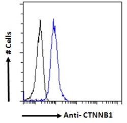 Invitrogen beta Catenin Polyclonal Antibody 100 &mu;g; Unconjugated:Antibodies,