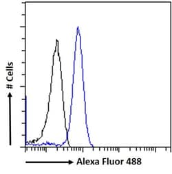 Invitrogen CD68 Polyclonal Antibody 100 &mu;g; Unconjugated:Antibodies,
