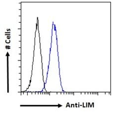 Invitrogen LMO3 Polyclonal Antibody 100 &mu;g; Unconjugated:Antibodies,