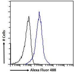 Invitrogen ACE2 Polyclonal Antibody 100 &mu;g; Unconjugated:Antibodies,