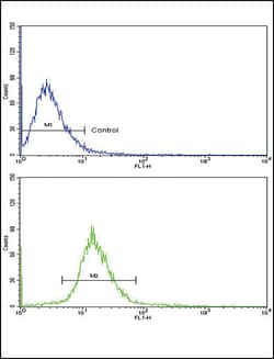 Invitrogen Vitronectin Polyclonal Antibody 400 μL; Unconjugated:Antibodies,