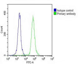 Invitrogen CD31 Polyclonal Antibody 400 &mu;L; Unconjugated:Antibodies,