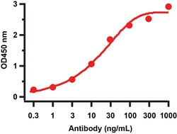 Invitrogen SARS-CoV-2 NSP9 Polyclonal Antibody 100 &mu;g; Unconjugated:Antibodies,