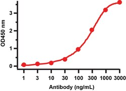 Invitrogen SARS-CoV-2 NSP16 Polyclonal Antibody 100 &mu;g; Unconjugated:Antibodies,