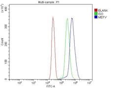 Invitrogen MEFV Polyclonal Antibody 100 &mu;g; Unconjugated:Antibodies,