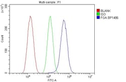 Invitrogen Fibrinogen alpha chain Polyclonal Antibody 100 &mu;g; Unconjugated:Antibodies,