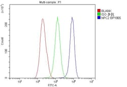 Invitrogen NPC2 Polyclonal Antibody 100 &mu;g; Unconjugated:Antibodies,