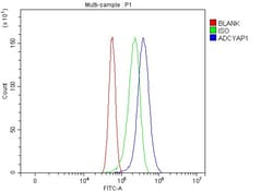 Invitrogen PACAP-38 Polyclonal Antibody 100 &mu;g; Unconjugated:Antibodies,