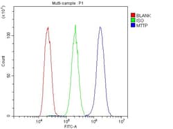 Invitrogen MTTP Polyclonal Antibody 100 &mu;g; Unconjugated:Antibodies,