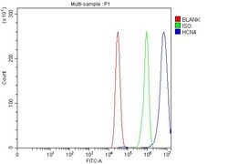 Invitrogen HCN4 Polyclonal Antibody 100 &mu;g; Unconjugated:Antibodies,