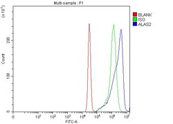 Invitrogen ALAS2 Polyclonal Antibody 100 &mu;g; Unconjugated:Antibodies,