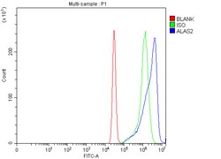 Invitrogen ALAS2 Polyclonal Antibody 100 &mu;g; Unconjugated:Antibodies,
