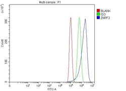 Invitrogen ZNRF3 Polyclonal Antibody 100 &mu;g; Unconjugated:Antibodies,