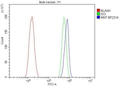 Invitrogen MNT Polyclonal Antibody 100 &mu;g; Unconjugated:Antibodies,