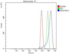 Invitrogen NDUFS5 Polyclonal Antibody 100 μg; Unconjugated:Antibodies,