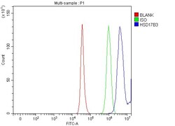 Invitrogen HSD17B3 Polyclonal Antibody 100 &mu;g | Buy Online | Invitrogen&trade; | Fisher Scientific