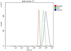 Invitrogen POLA1 Polyclonal Antibody 100 &mu;g; Unconjugated:Antibodies,