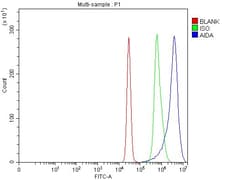 Invitrogen AIDA Polyclonal Antibody 100 &mu;g; Unconjugated:Antibodies,