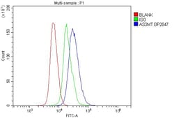 Invitrogen AS3MT Polyclonal Antibody 100 &mu;g; Unconjugated:Antibodies,