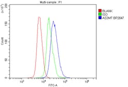 Invitrogen AS3MT Polyclonal Antibody 100 &mu;g; Unconjugated:Antibodies,