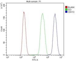 Invitrogen CDK13 Polyclonal Antibody 100 &mu;g; Unconjugated:Antibodies,