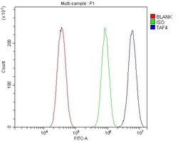 Invitrogen TAF4 Polyclonal Antibody 100 &mu;g; Unconjugated:Antibodies,