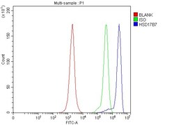 Invitrogen HSD17B7 Polyclonal Antibody 100 &mu;g; Unconjugated:Antibodies,