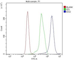 Invitrogen IDO2 Polyclonal Antibody 100 &mu;g; Unconjugated:Antibodies,