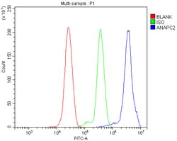 Invitrogen ANAPC2 Polyclonal Antibody 100 μg; Unconjugated:Antibodies,