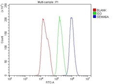 Invitrogen SEMA6A Polyclonal Antibody 100 &mu;g; Unconjugated:Antibodies,