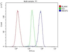 Invitrogen MESP2 Polyclonal Antibody 100 &mu;g; Unconjugated:Antibodies,