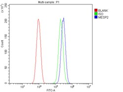 Invitrogen MESP2 Polyclonal Antibody 100 &mu;g; Unconjugated:Antibodies,