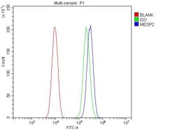 Invitrogen MESP2 Polyclonal Antibody 100 &mu;g; Unconjugated:Antibodies,
