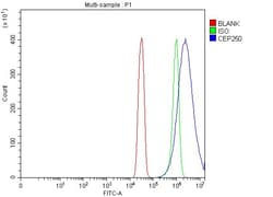 Invitrogen CEP250 Polyclonal Antibody 100 &mu;g; Unconjugated:Antibodies,