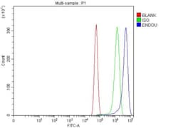 Invitrogen PP11 Polyclonal Antibody 100 &mu;g; Unconjugated:Antibodies,