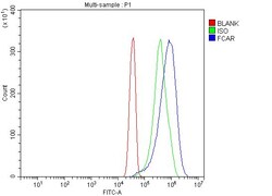 Invitrogen CD89 Polyclonal Antibody 100 &mu;g; Unconjugated:Antibodies,