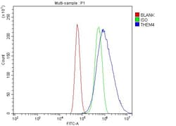 Invitrogen THEM4 Polyclonal Antibody 100 μg; Unconjugated:Antibodies,