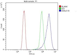Invitrogen DNAJC10 Polyclonal Antibody 100 &mu;g | Buy Online | Invitrogen&trade; | Fisher Scientific