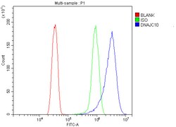 Invitrogen DNAJC10 Polyclonal Antibody 100 &mu;g | Buy Online | Invitrogen&trade; | Fisher Scientific