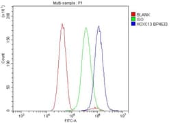 Invitrogen HOXC13 Polyclonal Antibody 100 &mu;g; Unconjugated:Antibodies,