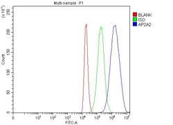 Invitrogen AP2A2 Polyclonal Antibody 100 &mu;g; Unconjugated:Antibodies,