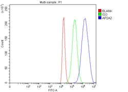 Invitrogen AP2A2 Polyclonal Antibody 100 &mu;g; Unconjugated:Antibodies,