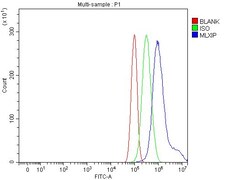 Invitrogen MLXIP Polyclonal Antibody 100 &mu;g; Unconjugated:Antibodies,