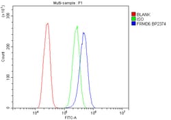 Invitrogen FRMD6 Polyclonal Antibody 100 &mu;g; Unconjugated:Antibodies,
