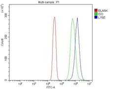 Invitrogen Ly-6E Polyclonal Antibody 100 &mu;g | Buy Online | Invitrogen&trade; | Fisher Scientific