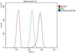 EPB41L5 Polyclonal Antibody, Invitrogen 100 &mu;g; Unconjugated:Antibodies,