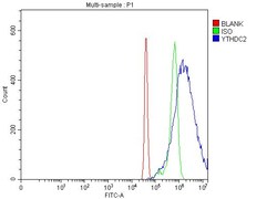 Invitrogen YTHDC2 Polyclonal Antibody 100 &mu;g; Unconjugated:Antibodies,
